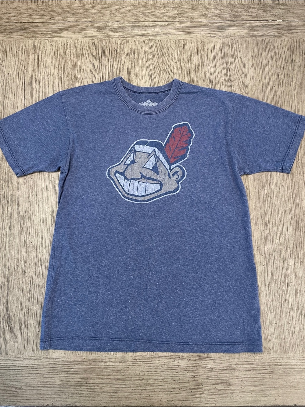 Red Jacket women’s small tshirt, blue, 18x24.